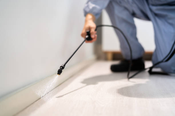 Professional exterminator conducting IPM assessment in Winamac